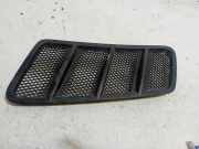 Gitter MERCEDES-BENZ GLE (W166) 250 d 4-matic (166.004) A1668800105