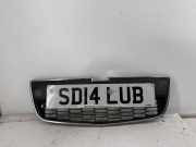 Gitter vorne unten CHEVROLET AVEO Hatchback (T300) 1.2 95019926