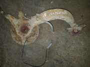 Stange/Strebe für Radaufhängung links BMW 3er (E36) 33321090450