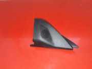 Türlautsprecher vorne links