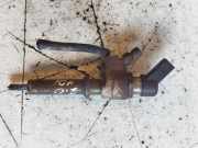 Einspritzdüse PEUGEOT 407 (6D_) 2.7 HDi 9636819380 B125104012