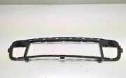 Gitter vorne unten BMW X5 (E70) 3.0 d 7171348