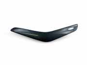 Türverkleidung rechts hinten Ford Kuga () 7M518V41