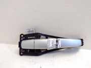 Türaußengriff hinten rechts OPEL ZAFIRA B (A05) 1.9 CDTI 24463750