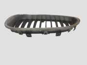 Gitter Grill vorne links BMW 5 Touring (E61) 520 i R51137027061