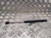 Gasfeder für Motorhaube Peugeot 407 ()