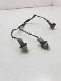 Kennzeichenbeleuchtung TOYOTA RAV 4 III (_A3_) 2.2 D 4WD (ALA30_)