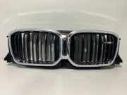 Gitter BMW X4 (G02, F98) M40i 5A1A3F5