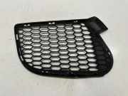Gitter vorne unten BMW X5 (E70) xDrive 35 d 7205577 51117205577