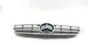 Vorderer oberer Gitter MERCEDES-BENZ CLK Cabrio (A209) CLK 240 (209.461) A2098800023