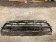 Gitter Grill vorne links RENAULT CLIO II (BB0/1/2_, CB0/1/2_) 1.2 (BB0A, CB0A) 0001018705