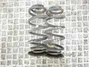 Schraubenfeder hinten links CHEVROLET ORLANDO (J309) 2.0 D 13251751