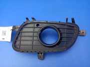 Blende Nebelscheinwerfer Mercedes-Benz A-Klasse (W169) A1698850522