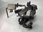 Verteilerrohr Kraftstoff Volvo XC90 II (256) 31363990