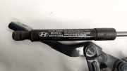 Motorhaubenscharnier links Hyundai Santa Fe III (DM) 791502W000