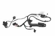 Kabel Tür Audi A5 Sportback (8TA) 31072009