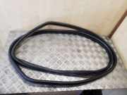 Türgummi rechts vorne Fiat Ducato Pritsche (290)