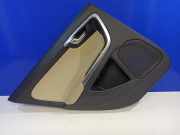 Türpolster hinten links