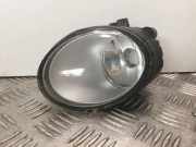 Nebelscheinwerfer vorne rechts VW PHAETON (3D_) 3.0 V6 TDI 4motion 3D0941700B 3D0941700