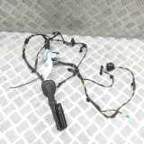 Türverkabelung hinten links BMW 5 (G60) i5 eDrive40 5A8BFB3
