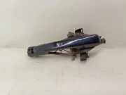 Türaußengriff links VOLVO V70 III (BW) D5 30784202