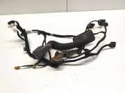 Türverkabelung hinten links MERCEDES-BENZ S (W222, V222, X222) S 350 BlueTEC / d (222.132, 222.032, 222.123) A2224409408