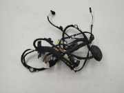 Kabel Tür Audi Q5 (8R) 80A971029D