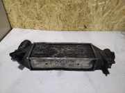 Ladeluftkühler FORD FOCUS (DAW, DBW) 1.8 Turbo DI / TDDi XS4Q9L440B