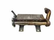 Abgaskühler Toyota Avensis (T25) 256010R020