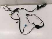 Kabel Tür Audi Q5 (8R) 80A971029D