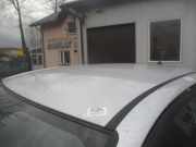 Dach mit Sonnendachausschnitt Hyundai i30 I Kombi (FD)