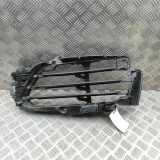 Kühlergrill links Porsche 911 (991) 99150556701