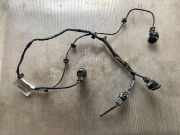 Kabelbaum Vorderen Parksensoren NISSAN QASHQAI / QASHQAI +2 I (J10, JJ10) 1.5 dCi 24017JD00A