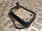 Kühler Mercedes-Benz Vito/Mixto Kasten (W639) A6111880301