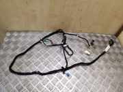 Kabelbaum Citroen DS4 (NX) 9800499780