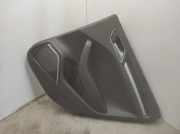 Türpolster hinten rechts