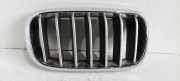 Kühlergrill oben BMW X5 (F15, F85) 7316076