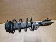 Stoßdämpfer vorne rechts NISSAN X-TRAIL (T31) 2.0 dCi E4302JG71A