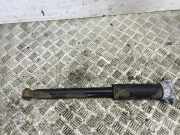 Stoßdämpfer hinten links MERCEDES-BENZ E T-Model (S213) E 220 d (213.204) A2133201030