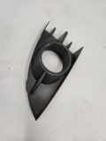 Gitter vorne unten RENAULT GRAND SCÉNIC IV (R9_) 1.2 TCe 130 P0009764