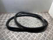 Türdichtung Audi A1 Sportback (8XA) 8X4833722B