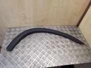 Rear Arch Liner Trim