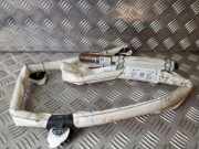 SRS Modul Dach links BMW 1 (F21) 116 d 7221045