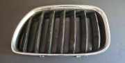 Vorderer oberer Gitter BMW X5 (E70) 3.0 si 51137124815