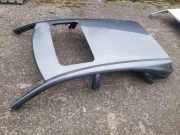 Dach mit Sonnendachausschnitt Lexus RX 3 (L1)