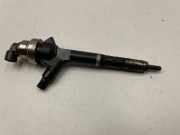 Düsenstöcke Nissan Pathfinder III (R51) 8973762703