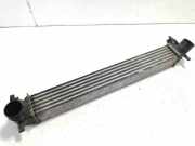 Ladeluftkühler Skoda Fabia II Kombi (545) 6R0145805