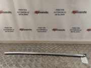 Türverkleidung links hinten VW Arteon (3H) 3G8839475