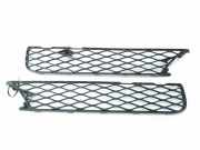 Gitter vorne unten MERCEDES-BENZ R (W251, V251) R 350 4-matic (251.065, 251.165) A2518850253