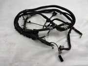 Motor Kabelbaum MERCEDES-BENZ S (W222, V222, X222) S 500 4-matic (222.085, 222.185) A2224407913